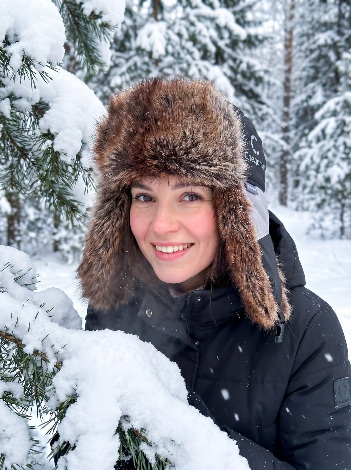 Winter in the forest